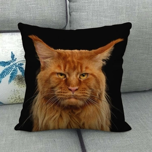 Close-up of ginger cat face print on a black square linen pillow case on a grey sofa