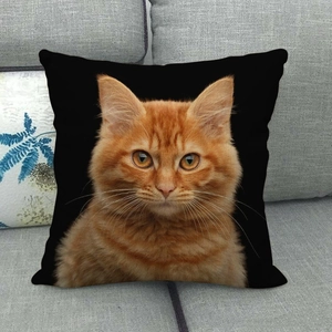 Detailed macro shot of high-definition orange cat print on black linen pillowcase