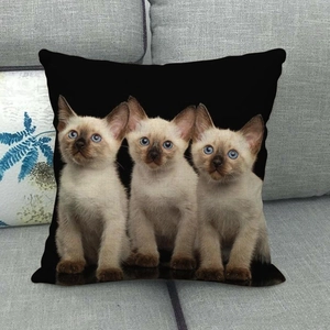 Detailed texture of linen pillowcase featuring three Siamese kittens with blue eyes