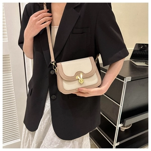 Detail of vintage crossbody bag with bunny ear metal lock and beige color blocking