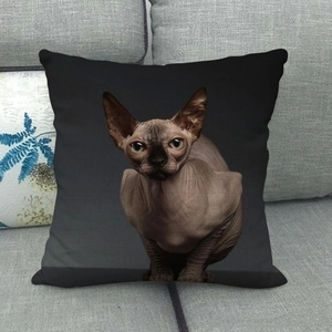Detail of Sphynx cat print on high-quality linen texture of a black square pillowcase