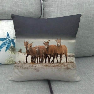 Gros plan détaillé d'une housse de coussin en lin avec photographie de moutons sauvages