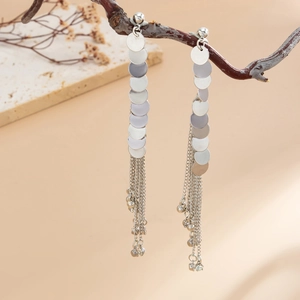 Detail of silver long tassel earrings with metallic sequins and beads on dry branch