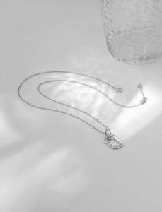 Detailed macro shot of 925 silver double-ring pendant with lobster clasp and chain