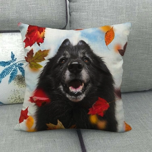 Housse de coussin en lin d'automne avec portrait de chien noir et feuilles d'érable