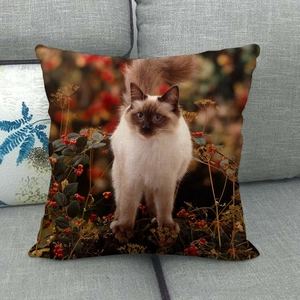 Détail de la housse de coussin en lin avec motif réaliste de chat et baies d'automne