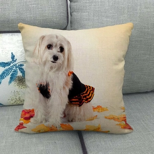 Détail d'une housse de coussin en lin avec un chien maltais en tenue d'Halloween et érable