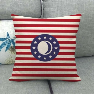 Detail showing the thick linen texture and American flag eagle pattern on square pillowcase