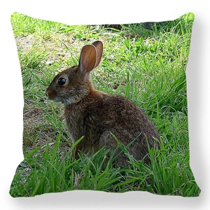 Détail d'une taie d'oreiller carrée avec un lapin brun réaliste sur l'herbe verte