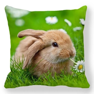 Easter bunny peach skin pillowcase with brown rabbit and daisy photography design