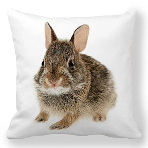 Detailed close-up of a square pillowcase featuring a realistic brown rabbit on white fabric