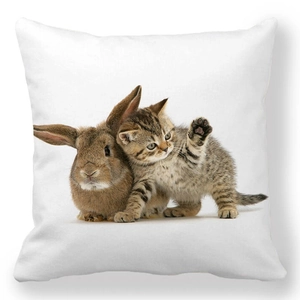 Close-up of Easter peach skin pillowcase featuring high-definition cat and rabbit print