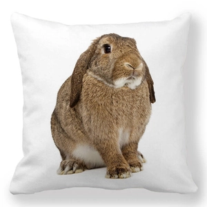 White square Easter pillow case with a realistic brown lop-eared bunny print design