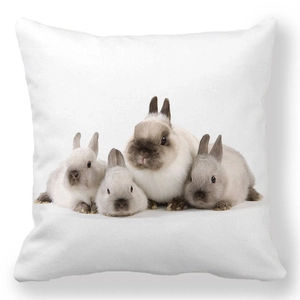 Detail of soft peach skin pillowcase with four fluffy gray and beige bunnies