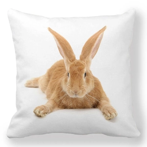 Macro detail of the white peach skin pillowcase showing vivid bunny print and fabric texture