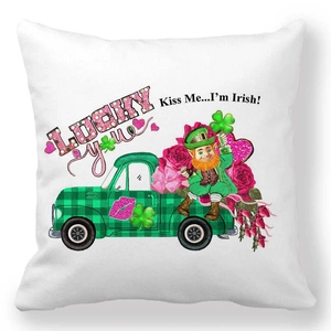 Dettaglio federa San Patrizio con leprechaun su un camion verde e decorazioni