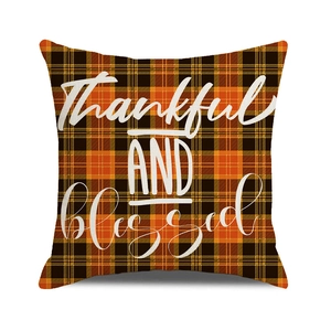 Macro detail of pumpkin checkered pillowcase with Thankful AND blessed white lettering