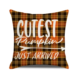 Close-up of orange plaid pumpkin pillow cover with Cutest Pumpkin Just Arrived text