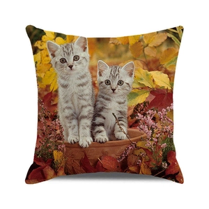 Detail van vierkante kussensloop met kittens in een pot en herfstachtige esdoornbladeren