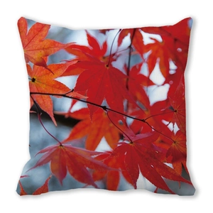 Detail of red maple leaf watercolor print on a square autumn themed pillow cover
