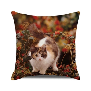 Vierkante kussensloop met schattige lapjeskat en herfstbessen met bladeren print decor