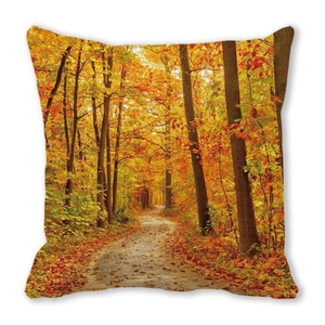 Detail of square autumn forest path cushion cover made of peach skin fabric texture