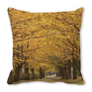 Detail of square pillowcase with autumnal golden ginkgo tree avenue scenery print