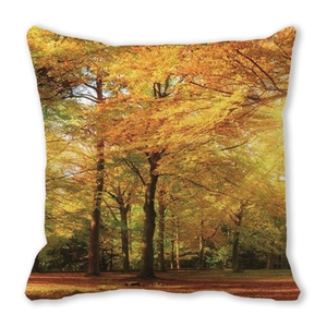 Detailed close-up of soft peach skin pillow cover with golden autumn forest print