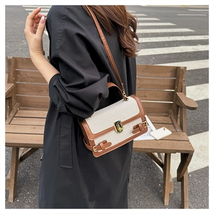 Detail of vintage canvas handbag with brown leather trim and golden metal twist lock