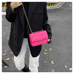 Close-up of pink quilted crossbody bag with gold metallic clasp and fine chain strap