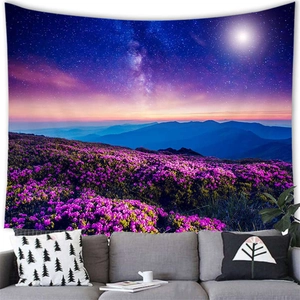 Detailed texture of tapestry featuring mountain galaxy and flowers hanging over a sofa