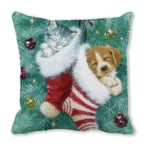 Détail du coussin de Noël avec chaton et chiot mignons dans des chaussettes