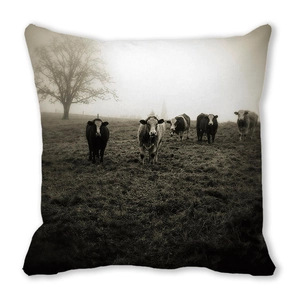 Detail of Christmas peach skin cushion showing artistic black and white misty pasture print