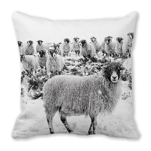 Detail of square pillowcase showing high-resolution sheep photography on soft peach skin fabric
