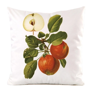 Detail of square satin pillowcase featuring vintage botanical apple fruit illustration