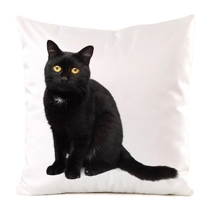 Detail of a silky square pillow cover featuring a black cat print on a white surface