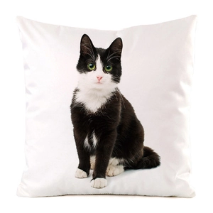 Detailed view of the smooth satin texture and lifelike black and white cat print on the pillowcase