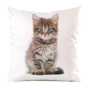 Detailed view of high-definition kitten print on white square faux silk cushion cover