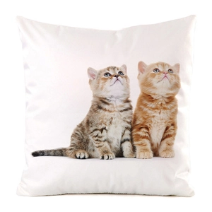 Close-up of a satin throw pillow cover with tabby and ginger kitten print