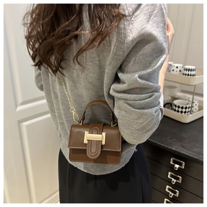 Detail view of mini brown crossbody bag with gold chain strap and metal buckle
