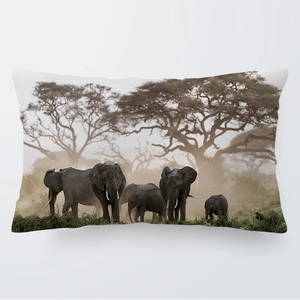 Funda de almohada 30x50cm suave con impresión de paisaje de elefantes africanos