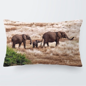 Funda de cojín rectangular con estampado de elefantes africanos en tela suave, 30x50cm