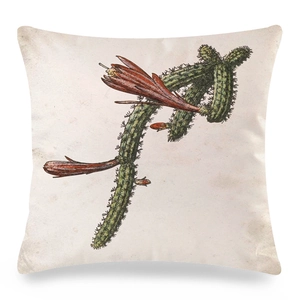 Dettaglio dell'illustrazione vintage di cactus su fodera per cuscino in finta seta