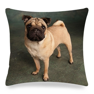 Linen decorative square pillowcase featuring a realistic pug dog print on white background