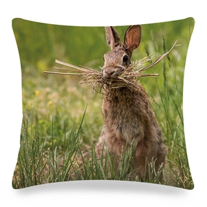 Detail of linen cushion cover showing a realistic brown rabbit on green grass