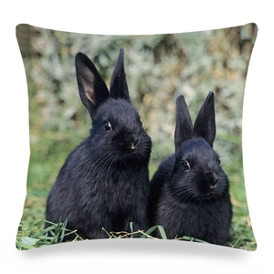 Linen square pillow cover with realistic black rabbits on grass printed on front side