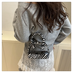 Mini transparent crossbody bag with zebra print trim and chain strap shown on model