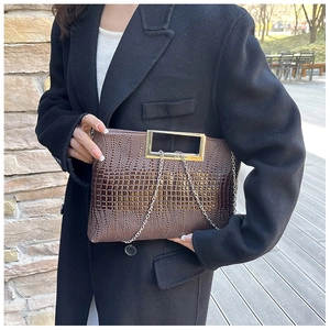 Detail of dark brown crocodile pattern handbag with gold handle and silver chain