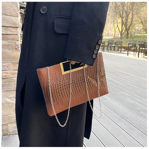 Close-up of brown crocodile texture bag with gold handle and silver chain strap