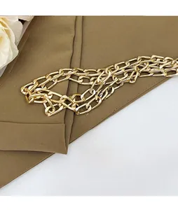 Macro shot of the polished gold metal chain strap showing detailed oval links texture